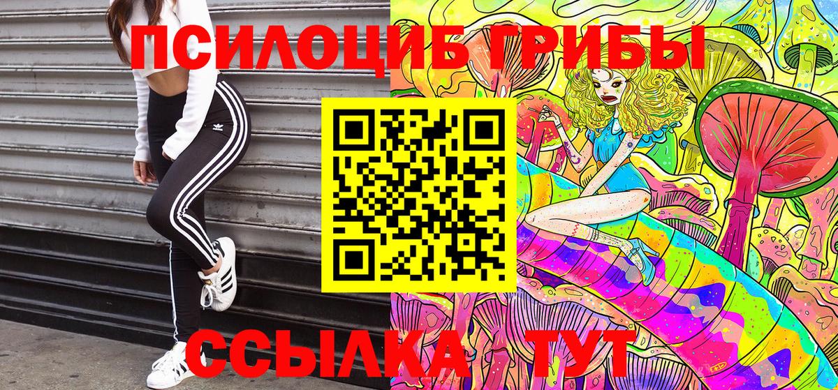 Галлюциногенные грибы Psilocybine cubensis Елец