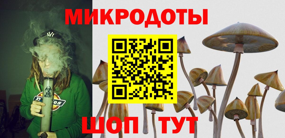 Елец  даркнет сайт  Галлюциногенные грибы Magic Shrooms  Вход с VPN  Псилоцибиновые грибы Magic Shrooms 