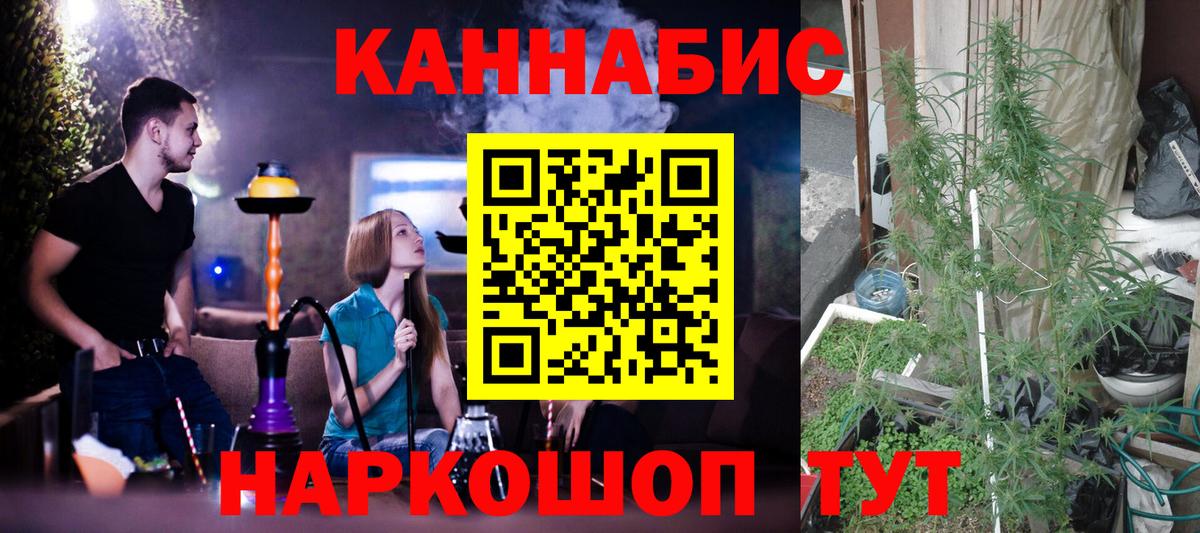 Бошки Шишки марихуана  Вход с VPN  Елец  Бошки Шишки MAZAR  Бошки Шишки MAZAR  Шишки марихуана марихуана 